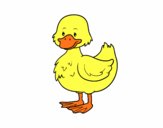 Patito de granja