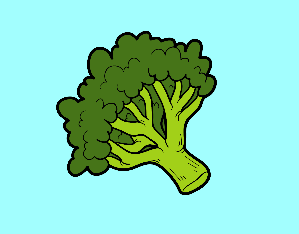 Dibujo Rama de brócoli pintado por Rocio533