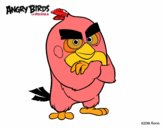 Red de Angry Birds