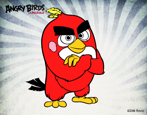 Red de Angry Birds