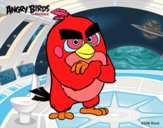 Red de Angry Birds