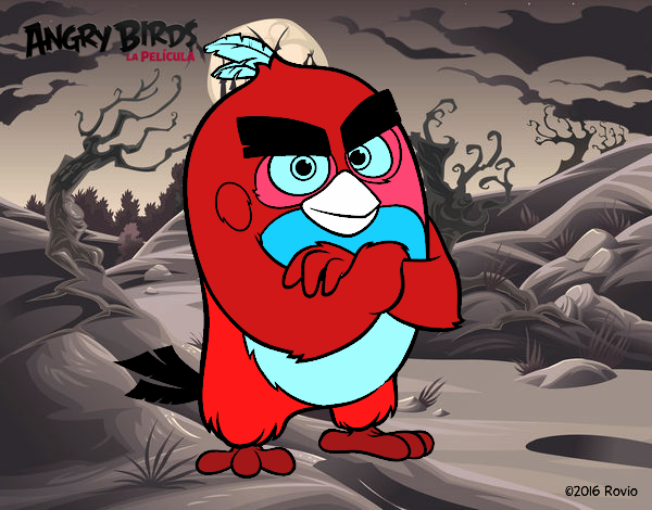 Red de Angry Birds