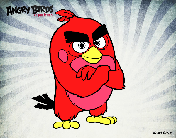 Red de Angry Birds