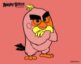 Red de Angry Birds