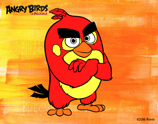 Red de Angry Birds