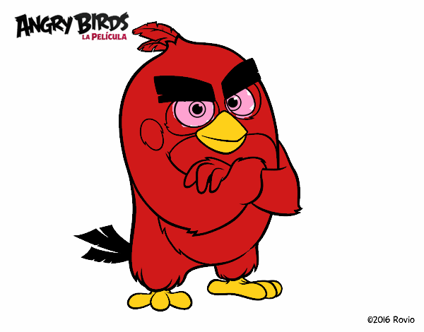 Red de Angry Birds