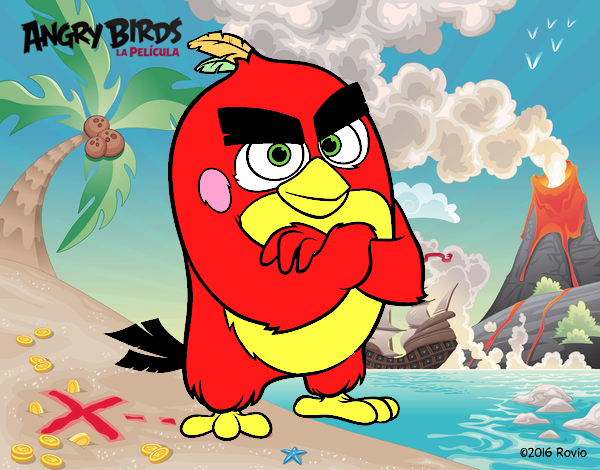 Red de Angry Birds