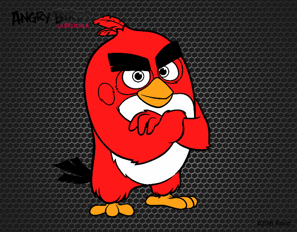 Red de Angry Birds