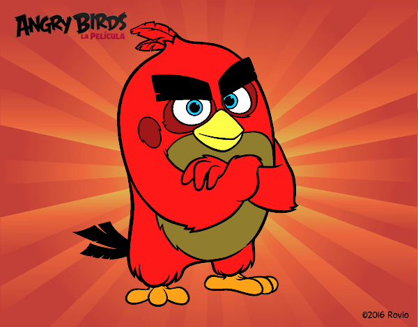 Red de Angry Birds