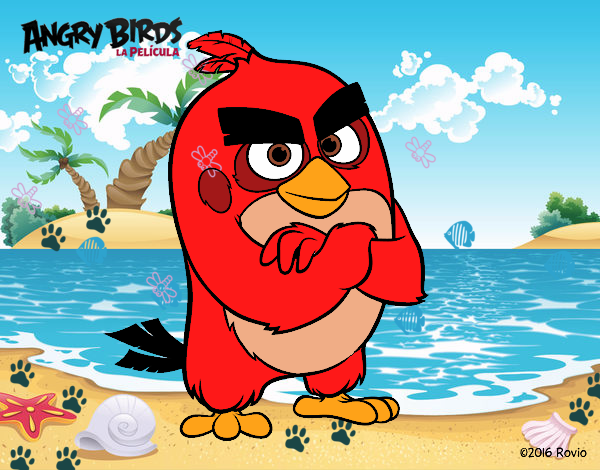 Red de Angry Birds