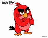 Dibujo Red de Angry Birds pintado por nardilis