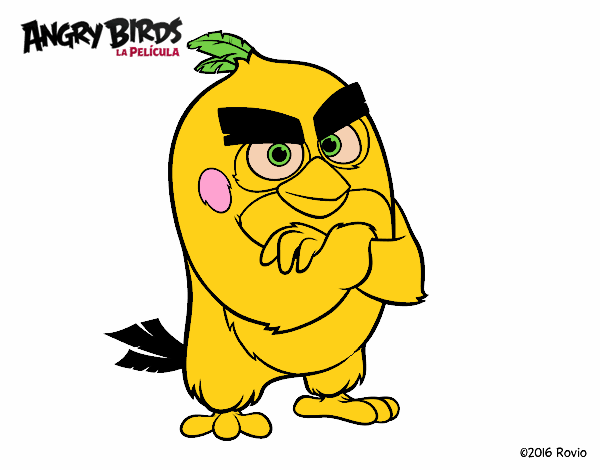 Red de Angry Birds