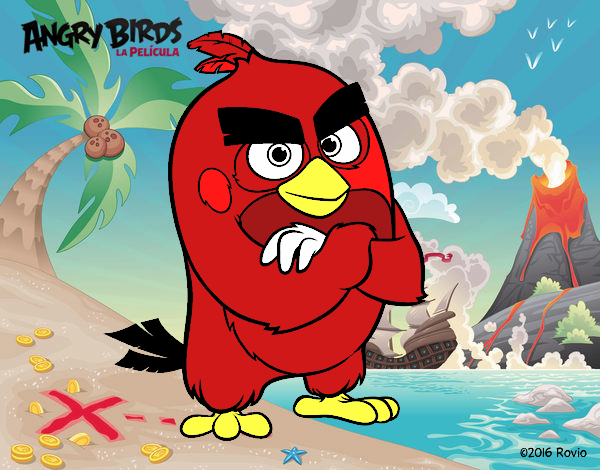 Red de Angry Birds