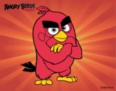 Red de Angry Birds