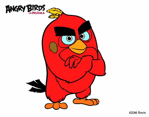 Red de Angry Birds