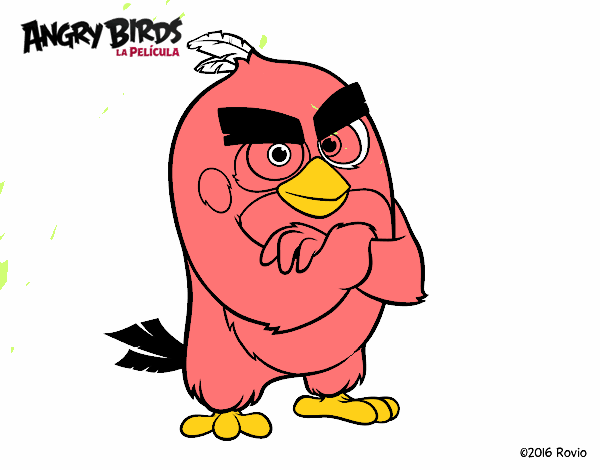 Red de Angry Birds