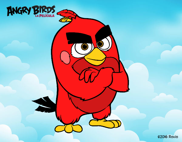 Red de Angry Birds