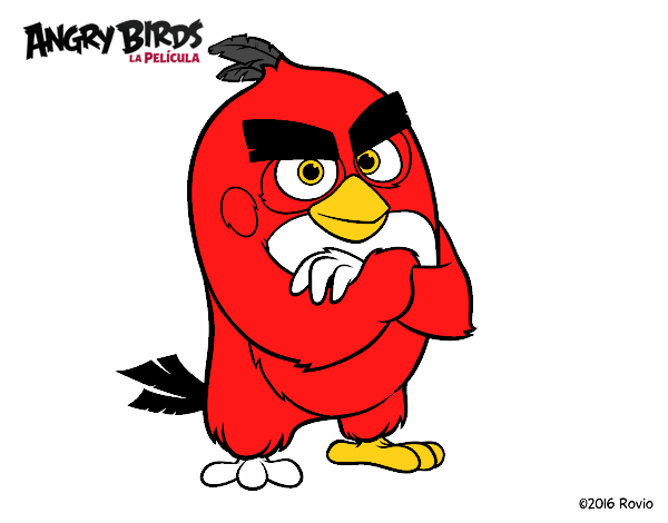 Red de Angry Birds