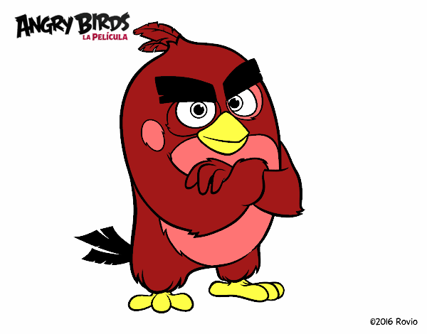 Red de Angry Birds