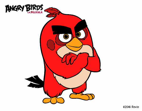 Red de Angry Birds