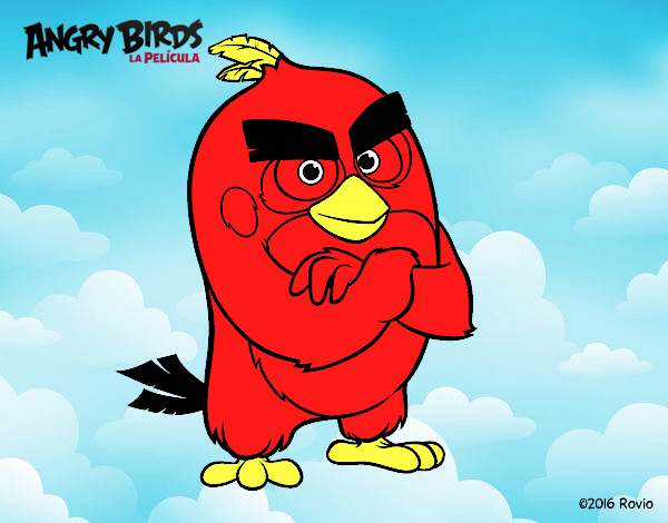 angry  birds    rojo    y   amarillo