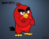 Red de Angry Birds