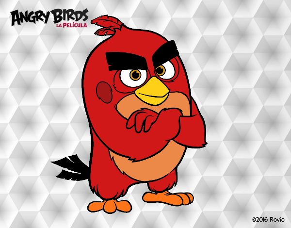 Red de Angry Birds