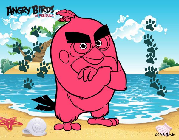 Red de Angry Birds