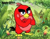 Red de Angry Birds