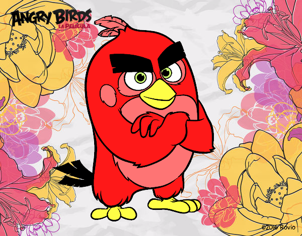 Red de Angry Birds