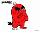 Red de Angry Birds