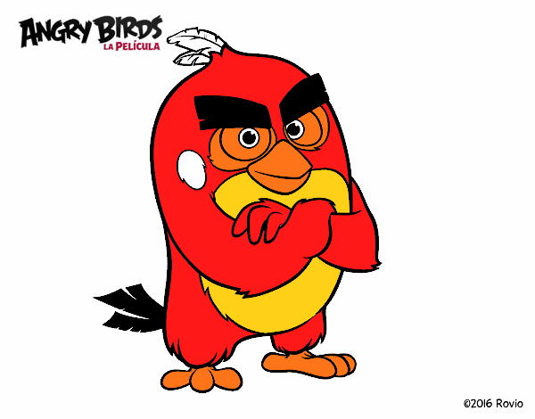 Red de Angry Birds