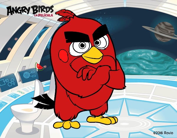 Red de Angry Birds