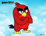 Red de Angry Birds