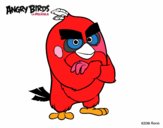 Red de Angry Birds