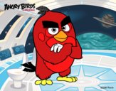 Red de Angry Birds