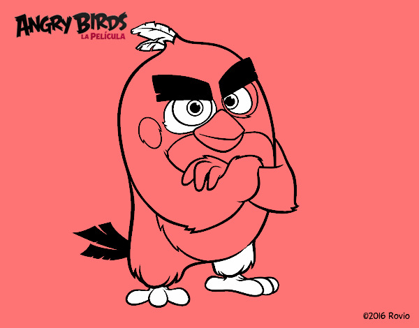 Red de Angry Birds