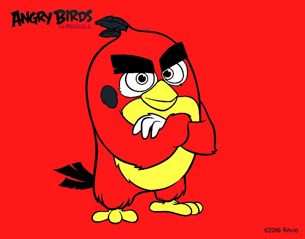 Red de Angry Birds