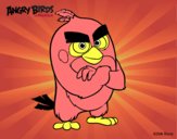 Red de Angry Birds