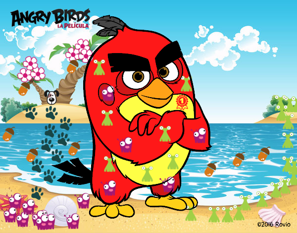 Red de Angry Birds