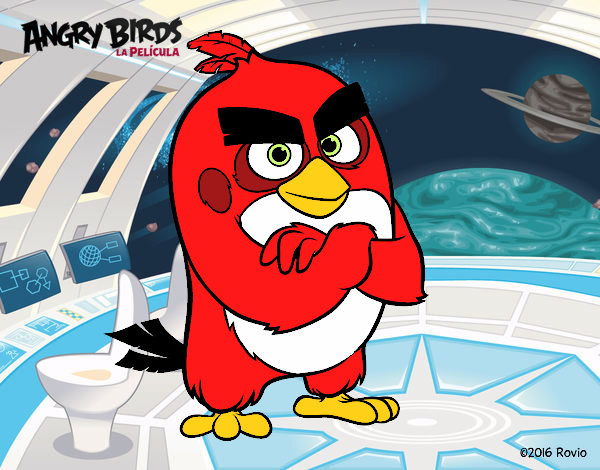 Red de Angry Birds