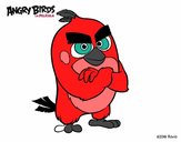 Red de Angry Birds