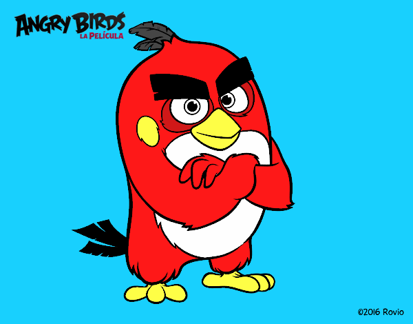 Angry bird Rojo