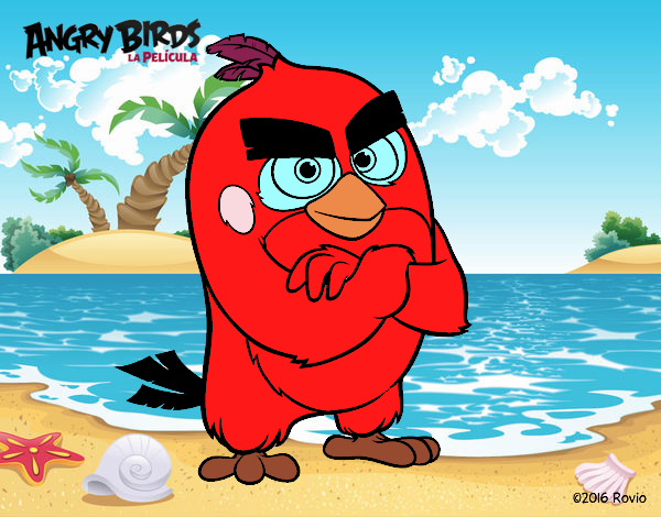 Red de Angry Birds