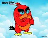 Red de Angry Birds