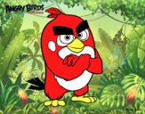 Red de Angry Birds