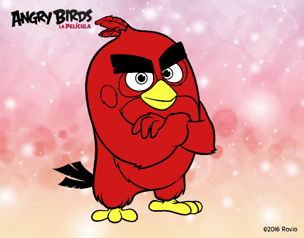 Red de Angry Birds