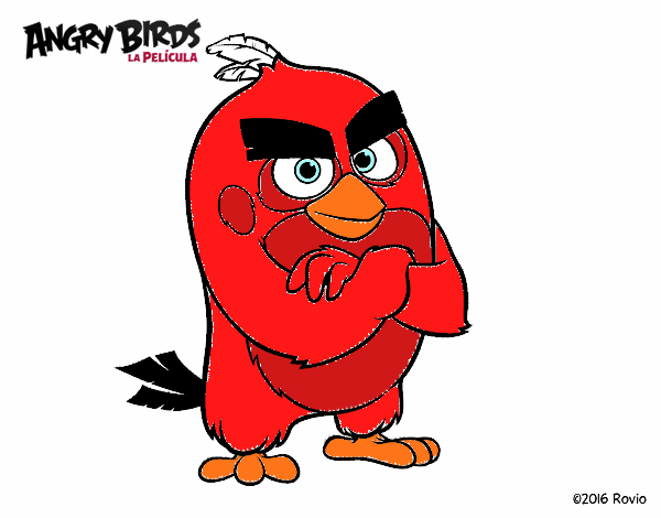 Red de Angry Birds