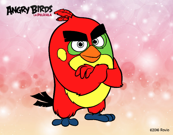 Red de Angry Birds