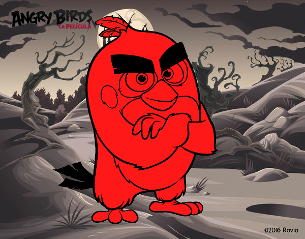 Red de Angry Birds